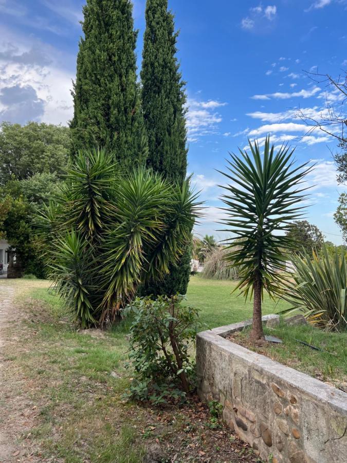 Alpilles Camargue Mas Falabrego Raphèle Bagian luar foto